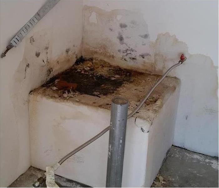 Water heater with mold