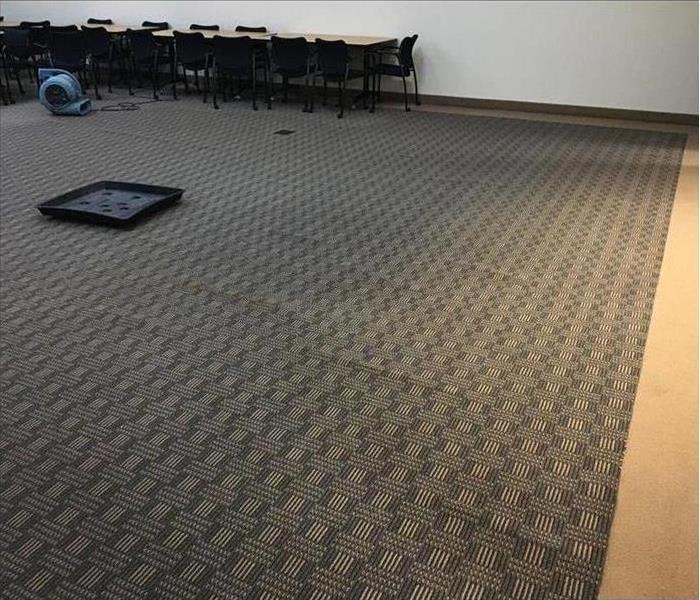Carpet in conference office flooded with water.