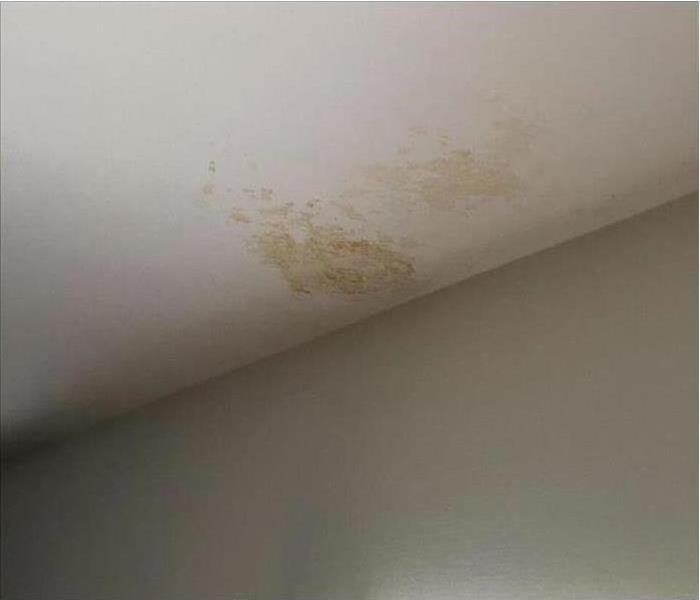 Brown spot on ceiling of kitchen.